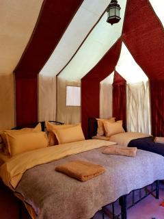 Sandar desert morocco - 1