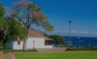 City Nest - Funchal - 8