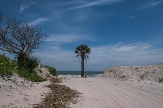 Marsa's Place - Edisto Island - 4