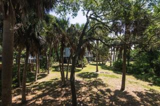Sea Biscuit - Edisto Island - 5