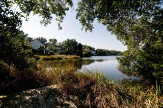Herondipity - Edisto Island - 6