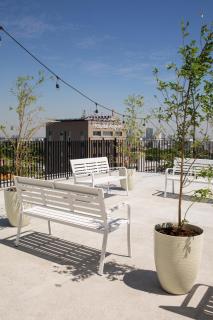 Suites del Carmen - Guadalajara - 9