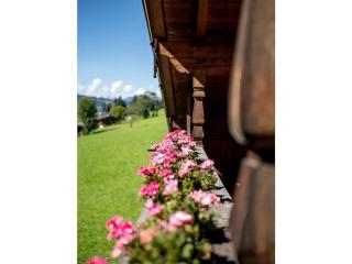 Landhaus Alpbach A Scenic Retreat - Alpbach - 3