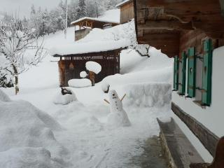 Holiday home Chalet Weberer - Stummerberg - 1