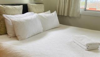 Spacious Apartment with the view of Mt. Wellington - Lenah Valley - 8