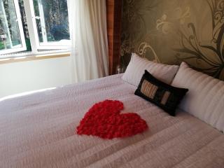 Old Mountain Road Retreat - Raglan - 5