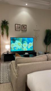 استوديو انيق وفاخر مدخل جانبي 2b - 9