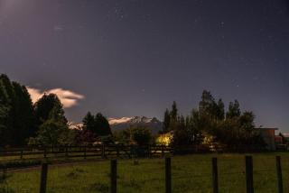 Rangataua Kowhai Tiny Home - 7