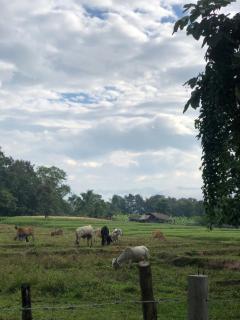 Pai casita resort,Inspiration Mud house -living room-AC- -workspace - 1