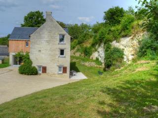 Gîte de charme en Touraine avec spa et jardin privé - FR-1-381-610 - Saint-Germain-sur-Vienne - 2