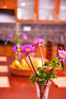 Angel Rose Luxury Apartments - Galle - 6