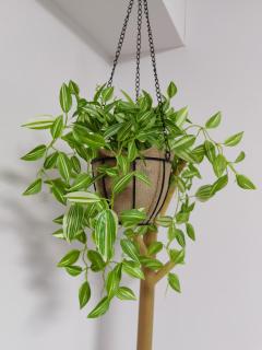 #203WZNET梅屋敷駅2分横浜羽田空港都心便利商店街1ldk広い - 8