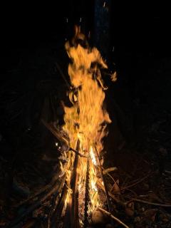 Eevas Farm Stay - Cochin - 3