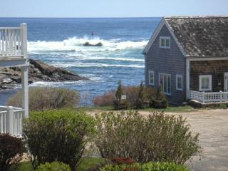 Perkins Cove Gem - Q934 - 7