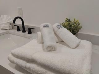 Private Heated Pool Pet friendly - Seminole - 1
