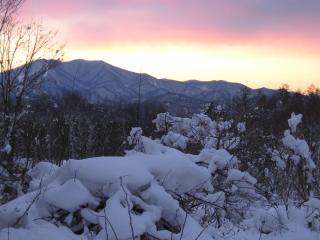 Lodge Amenouo - Myoko - 9