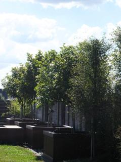 Titoki House - Bed and Breakfast - 8