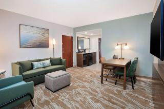 Embassy Suites San Marcos Hotel Conference Center - San Marcos - 3