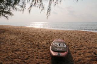 Mollusc Glamping - - 1