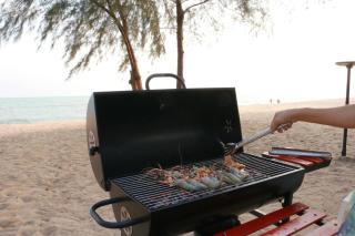 Mollusc Glamping - - 4
