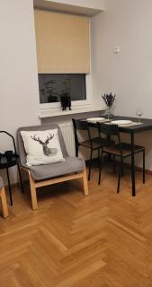 Apartments with outdoor SPA jacuzzi and sauna - Vilnius - 8