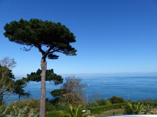 Villa Les Hydrangéas - Perros-Guirec - 0