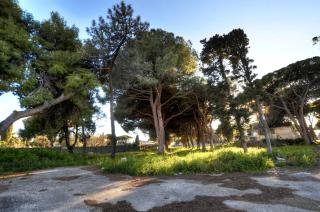 Le Vele - Civitavecchia - 7
