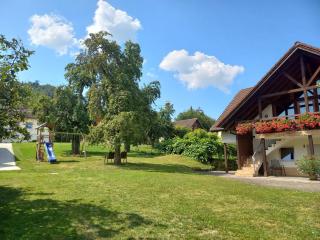 Ferienwohnungen Gabi Hermann - Bodman-Ludwigshafen - 5