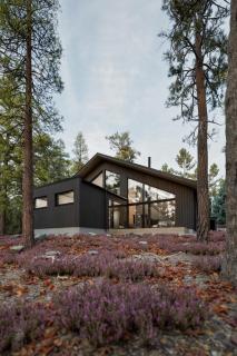Villa Black Reindeer - Kolari - 5