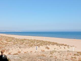 La Dorada Solo Familias Serviplaya!!! - Playa de Xeraco - 1