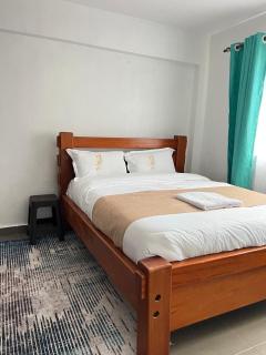 comfortplace 2 bedrooms in town behind National bank - Kericho - 1