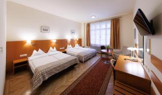 Continental Hotel-Pension - Vienna - 0