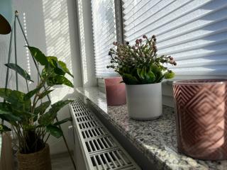 Wohnperle*Carré Charlott* 5 - 1