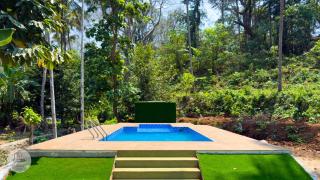 Secluded Forest Escape, Peechi - Pattikad - 8