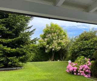 Villa GiNa Apartement - Albbruck - 9