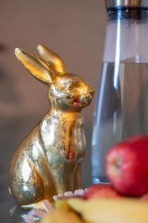 Special ROGER F RABBIT 1 Apartment, Roche Towers, 10-STAR - Basilea - 3