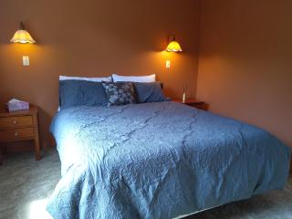 The Willow - Hanmer Springs Holiday Home - Hanmer Springs - 7