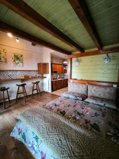 Dri House - Rocca di Papa - 4