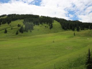 Studio avec coin montagne pour 4 pers, skis aux pieds - FR-1-445-72 - Monginevro - 1