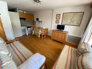 Studio 4 pers skis aux pieds, animaux admis, parking privé - FR-1-445-93 - Monginevro - 9