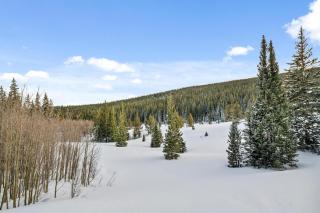 Amazing Secluded Cabin On 10 Acres, Close To Breck - 9