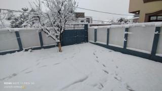 The Vintage Kashmir Homestay - 9