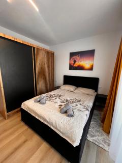 Sunrise apartment - Baia Mare - 7