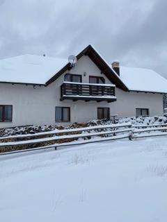 Casa Albă - Vatra Moldoviţei - 8