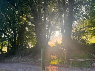 Lickham Bottom Camping - Hemyock - 3