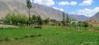 Kasri Homestay - Kargil - 0