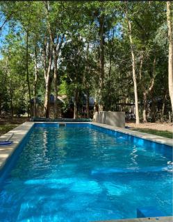 Descanso en el Bosque - 1