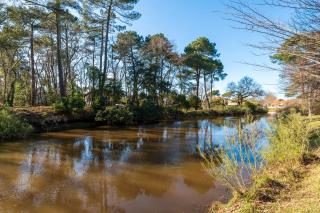 Cap Boudigau - App 4p Au Calme - Capbreton - 9