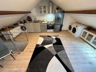 MX - House 10 min PARIS EXPOS- 11 bedrooms - - Malakoff - 8
