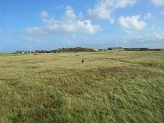 Haus-Sylter-Welle-042-WB - Westerland - 2